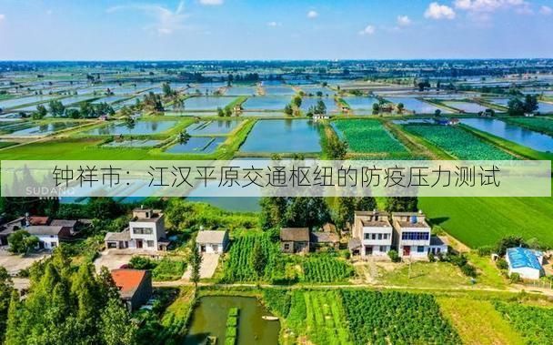 钟祥市：江汉平原交通枢纽的防疫压力测试