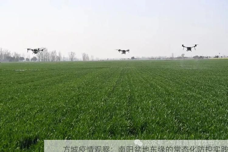 方城疫情观察：南阳盆地东缘的常态化防控实践