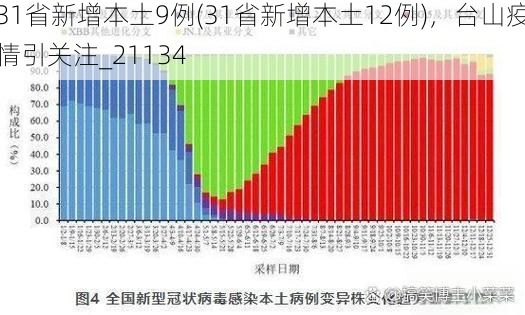 31省新增本土9例(31省新增本土12例)，台山疫情引关注_21134