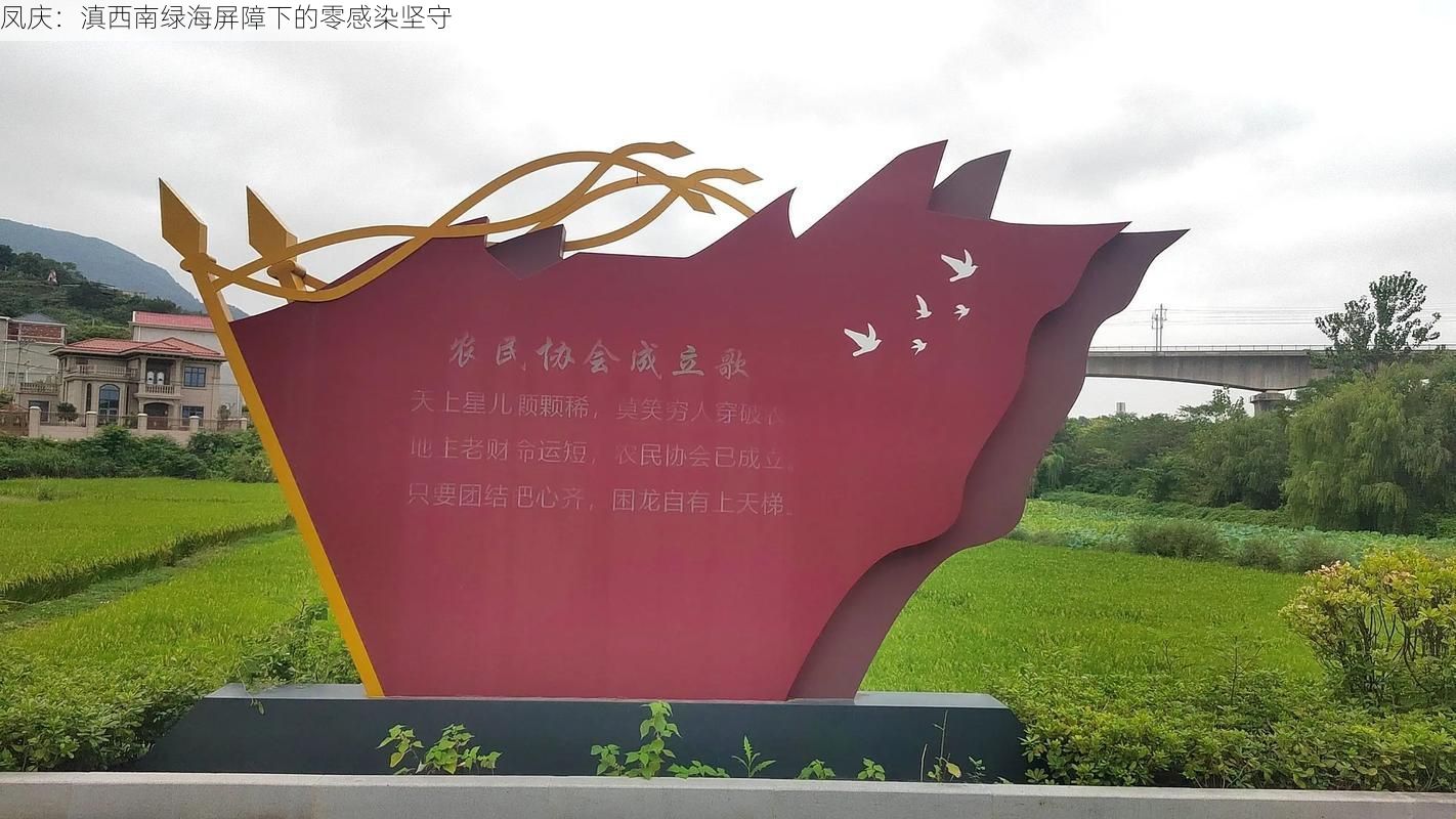 凤庆:滇西南绿海屏障下的零感染坚守