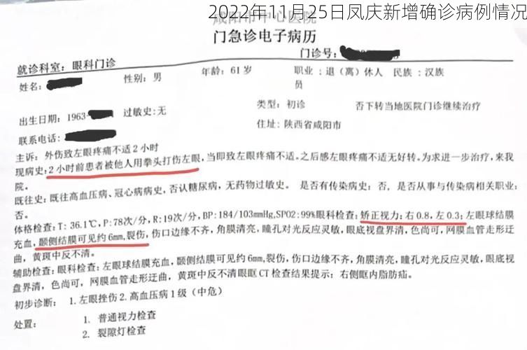 2022年11月25日凤庆新增确诊病例情况