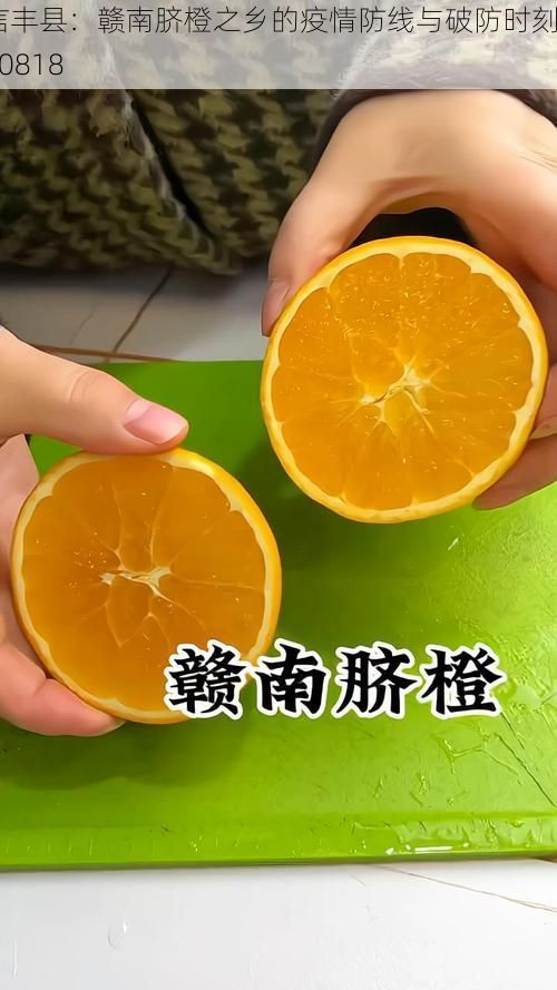 信丰县：赣南脐橙之乡的疫情防线与破防时刻_50818