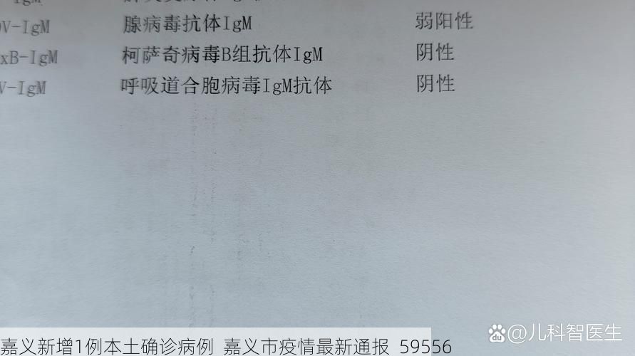 嘉义新增1例本土确诊病例  嘉义市疫情最新通报_59556