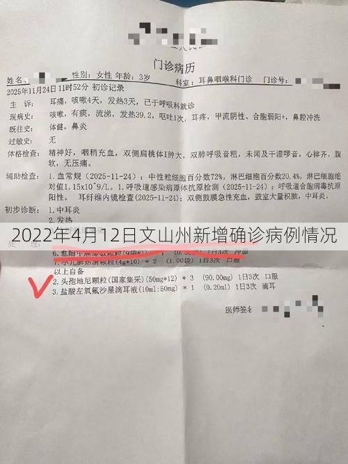2022年4月12日文山州新增确诊病例情况