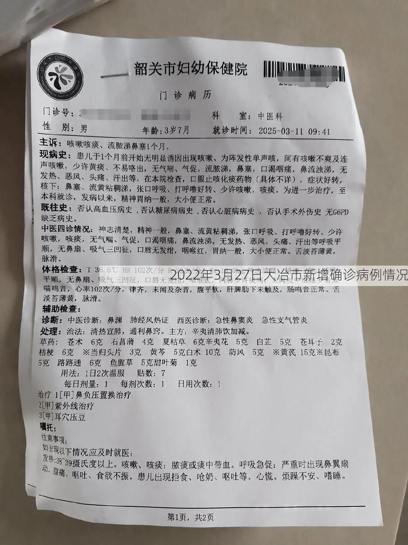 2022年3月27日大冶市新增确诊病例情况