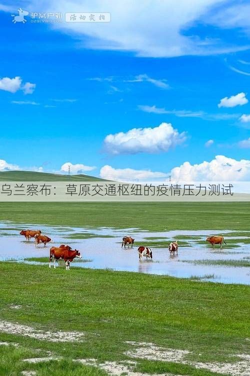 乌兰察布：草原交通枢纽的疫情压力测试