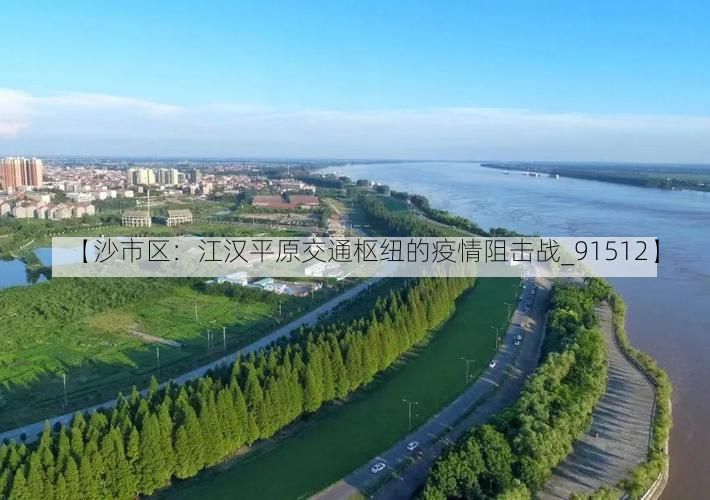【沙市区：江汉平原交通枢纽的疫情阻击战_91512】