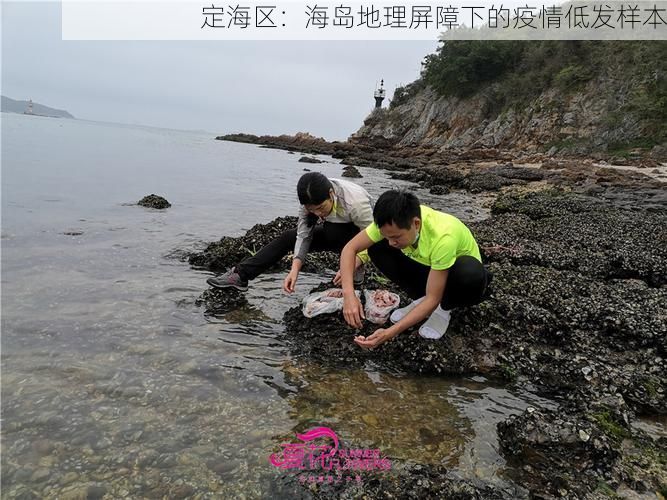 定海区：海岛地理屏障下的疫情低发样本
