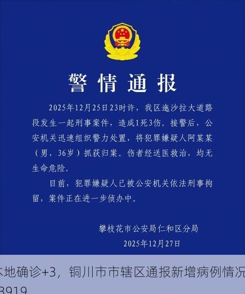 本地确诊+3,铜川市市辖区通报新增病例情况_93919