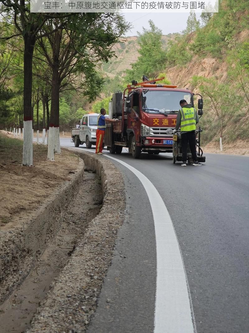宝丰：中原腹地交通枢纽下的疫情破防与围堵