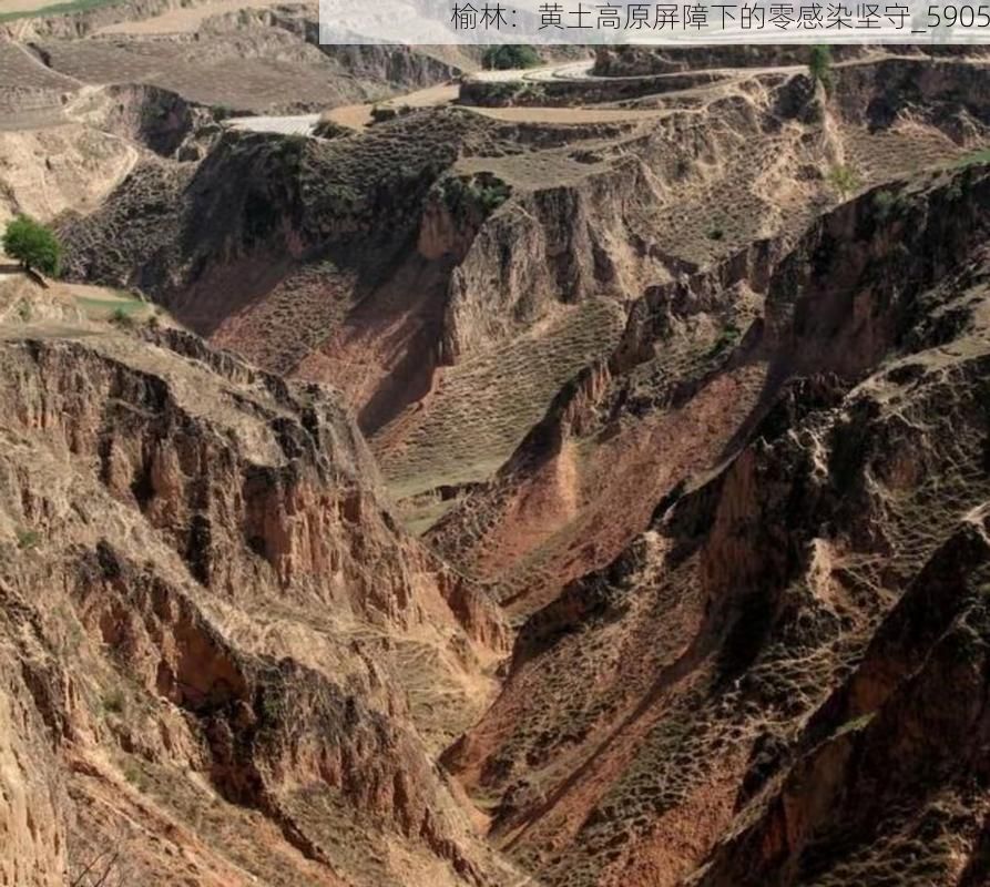 榆林：黄土高原屏障下的零感染坚守_5905