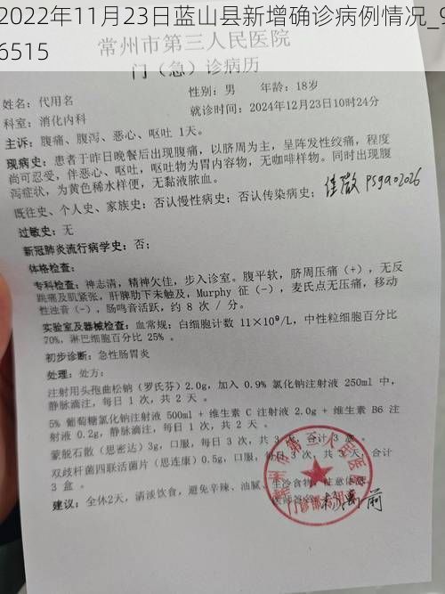 2022年11月23日蓝山县新增确诊病例情况_96515