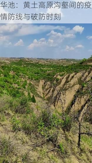 华池:黄土高原沟壑间的疫情防线与破防时刻