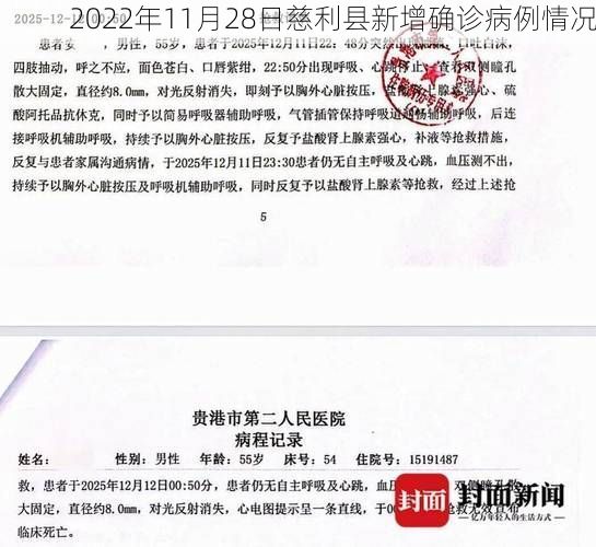 2022年11月28日慈利县新增确诊病例情况