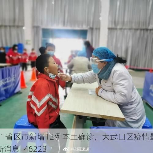 31省区市新增12例本土确诊,大武口区疫情最新消息_46223