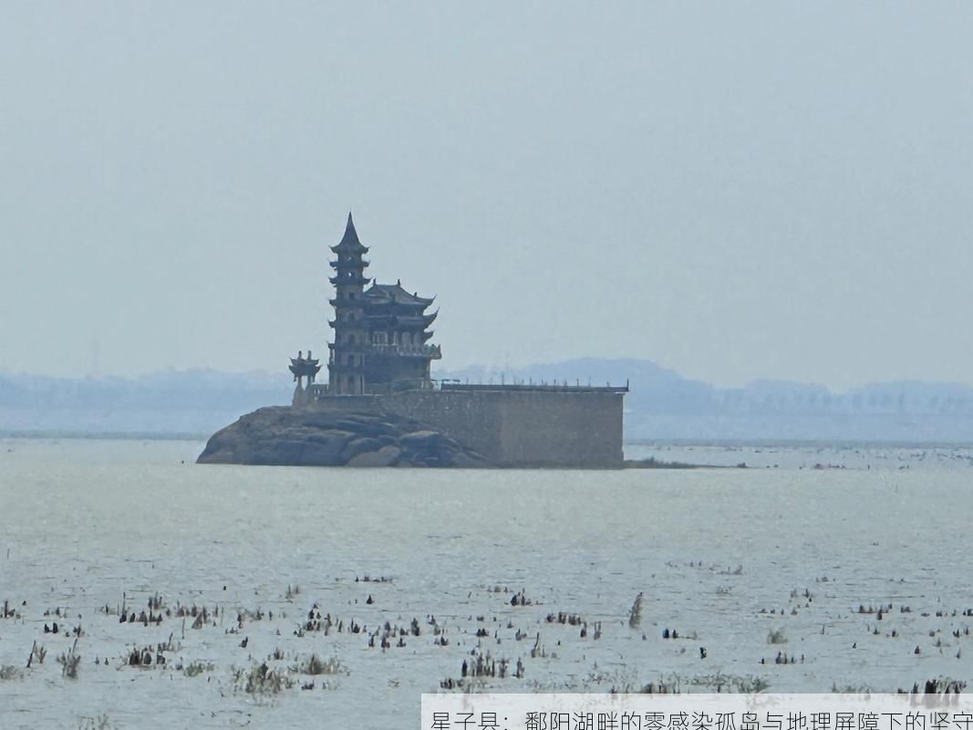 星子县：鄱阳湖畔的零感染孤岛与地理屏障下的坚守