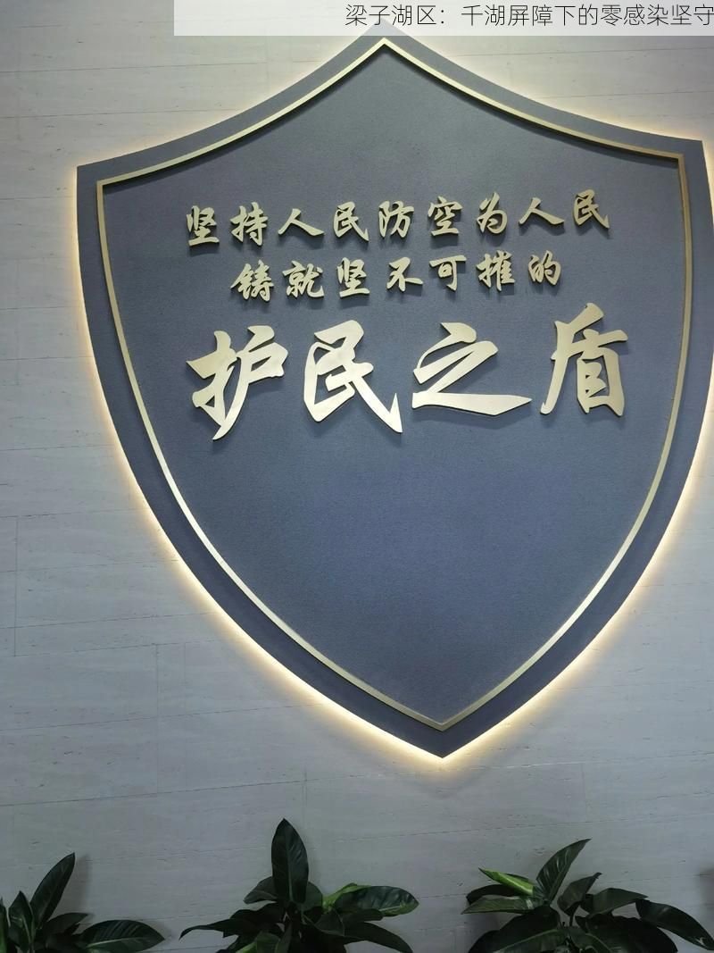 梁子湖区:千湖屏障下的零感染坚守