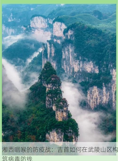 湘西咽喉的防疫战:吉首如何在武陵山区构筑病毒防线