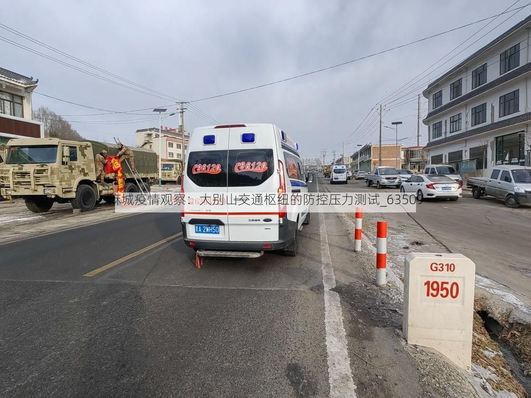 麻城疫情观察：大别山交通枢纽的防控压力测试_63509