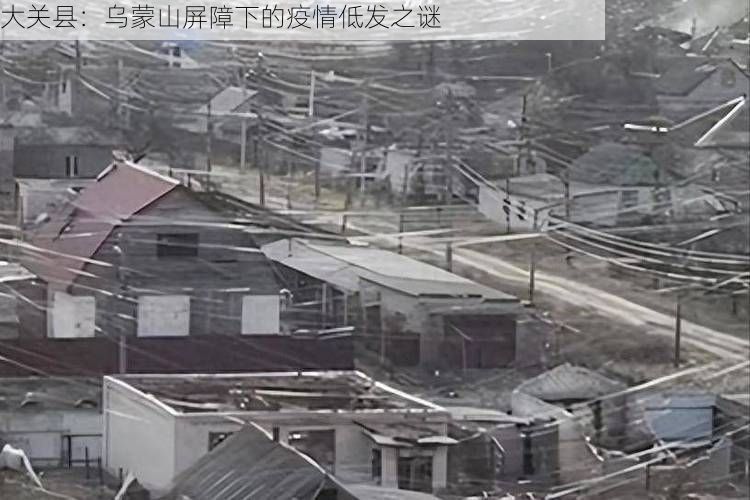 大关县：乌蒙山屏障下的疫情低发之谜