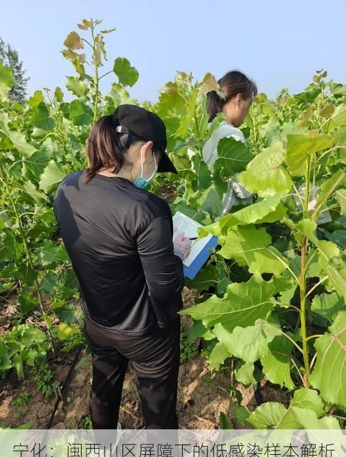 宁化：闽西山区屏障下的低感染样本解析