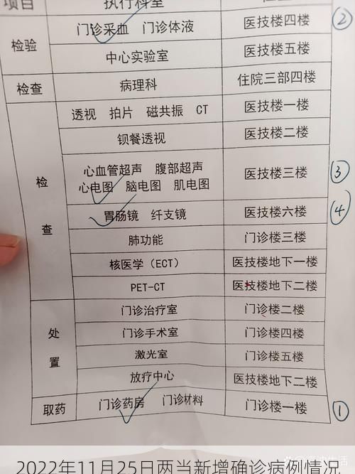 2022年11月25日两当新增确诊病例情况