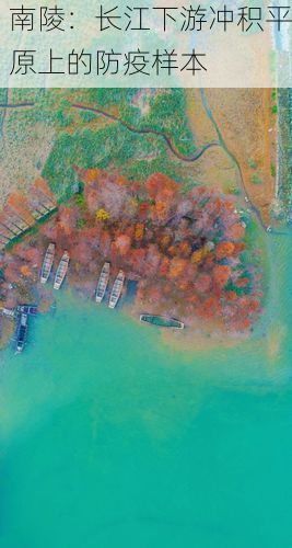 南陵:长江下游冲积平原上的防疫样本