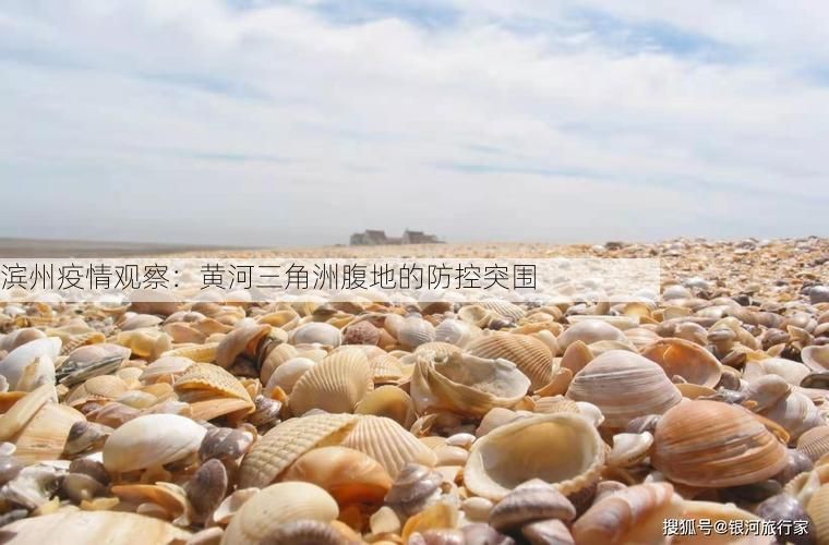 滨州疫情观察：黄河三角洲腹地的防控突围