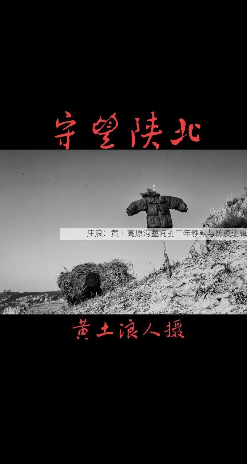 庄浪:黄土高原沟壑间的三年静默与防疫逻辑