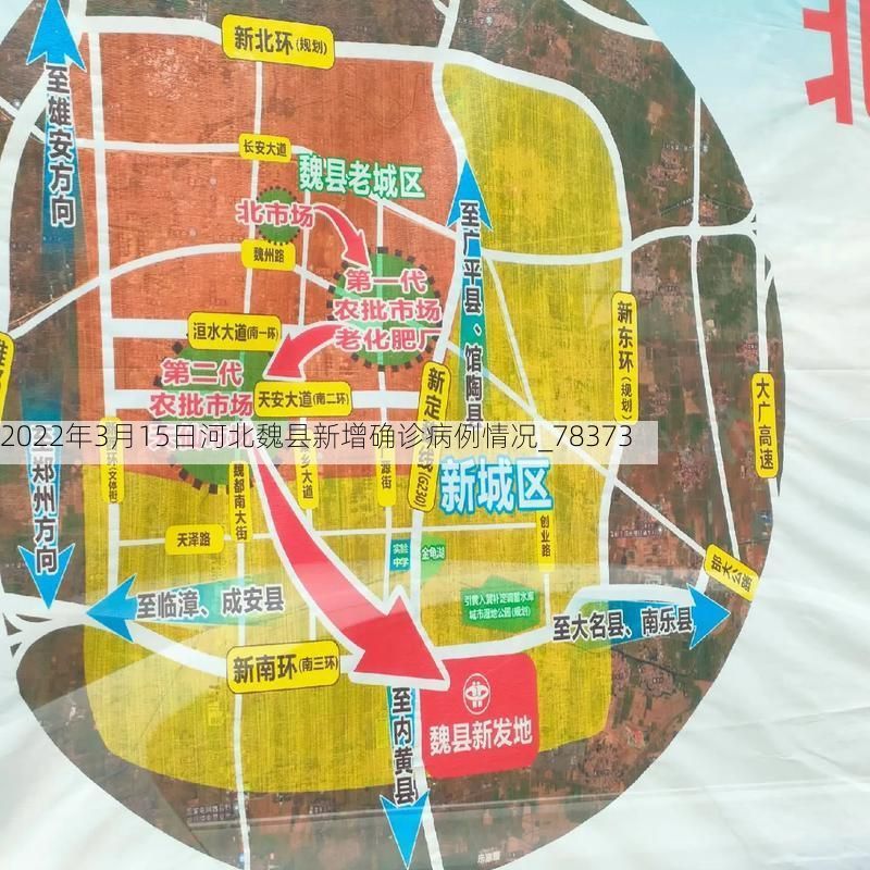 2022年3月15日河北魏县新增确诊病例情况_78373