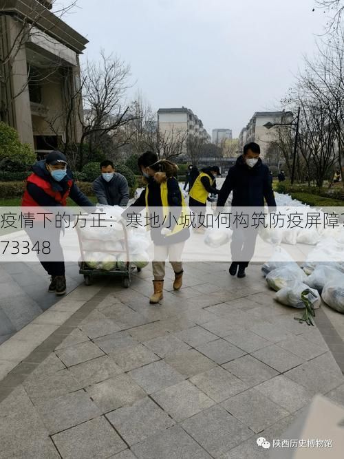 疫情下的方正：寒地小城如何构筑防疫屏障？_73348