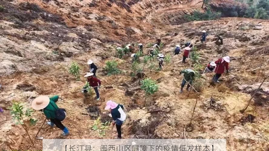 【长汀县：闽西山区屏障下的疫情低发样本】