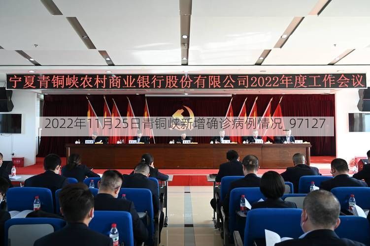 2022年11月25日青铜峡新增确诊病例情况_97127