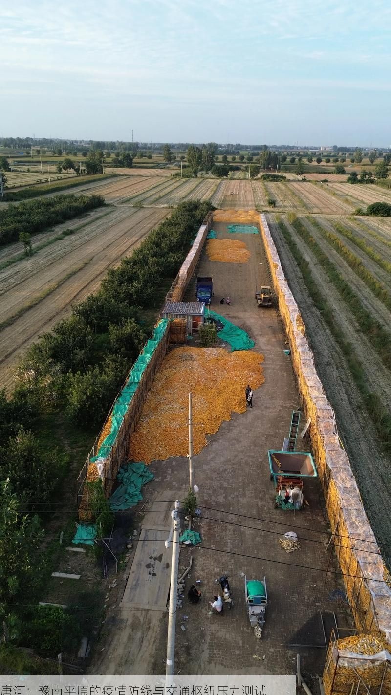唐河:豫南平原的疫情防线与交通枢纽压力测试