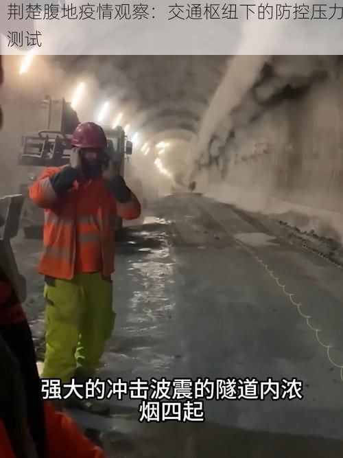 荆楚腹地疫情观察：交通枢纽下的防控压力测试