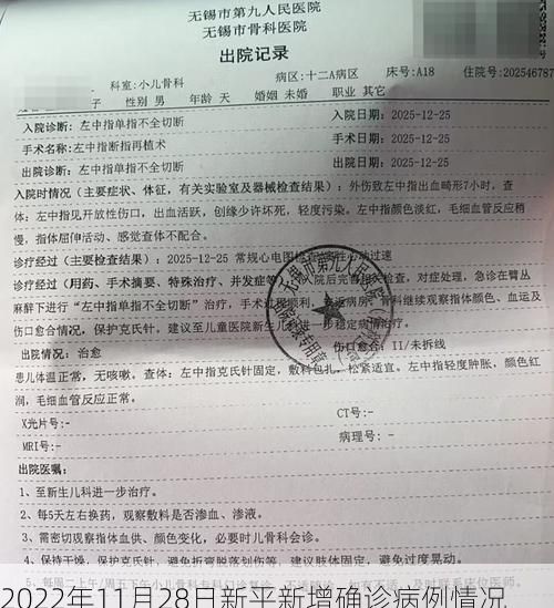 2022年11月28日新平新增确诊病例情况