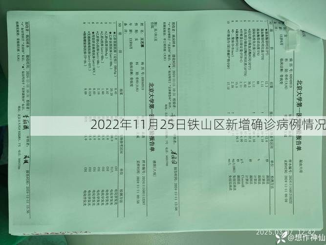 2022年11月25日铁山区新增确诊病例情况