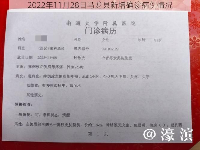 2022年11月28日马龙县新增确诊病例情况