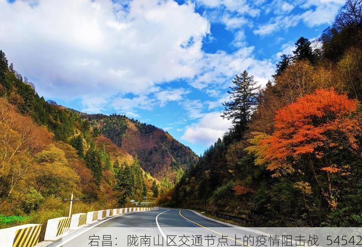 宕昌：陇南山区交通节点上的疫情阻击战_54542