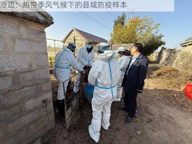 澄迈:热带季风气候下的县域防疫样本