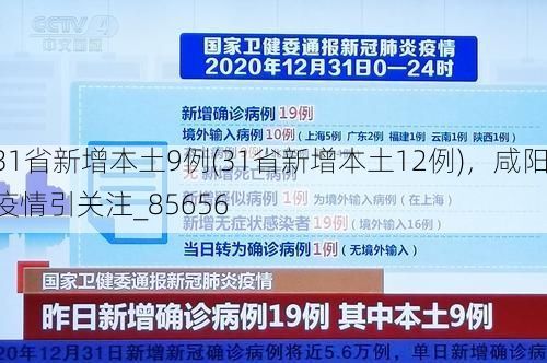 31省新增本土9例(31省新增本土12例)，咸阳疫情引关注_85656