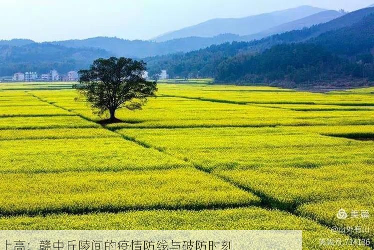 上高:赣中丘陵间的疫情防线与破防时刻