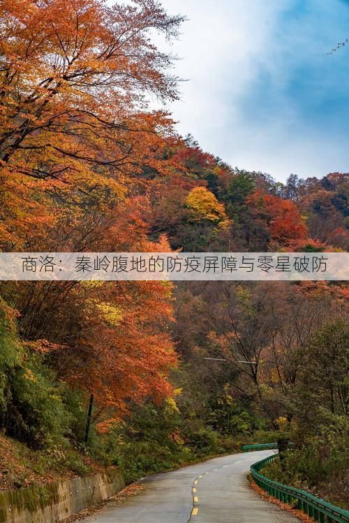 商洛：秦岭腹地的防疫屏障与零星破防