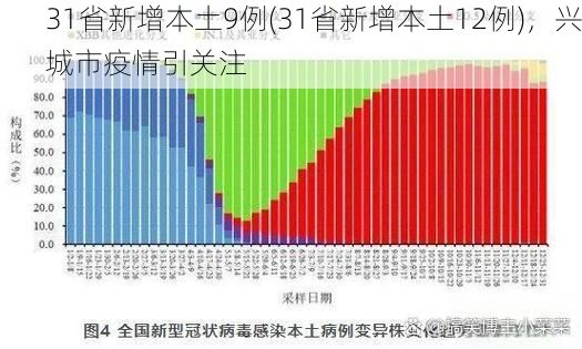 31省新增本土9例(31省新增本土12例),兴城市疫情引关注