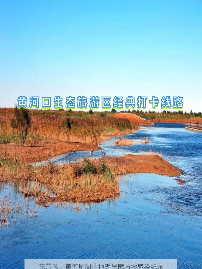 东营区：黄河尾闾的地理屏障与零感染纪录