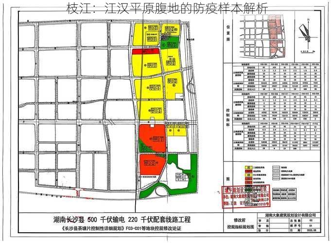 枝江：江汉平原腹地的防疫样本解析