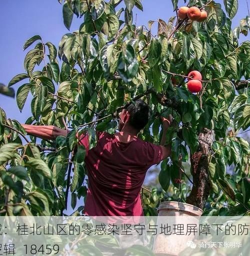 恭城:桂北山区的零感染坚守与地理屏障下的防疫逻辑_18459