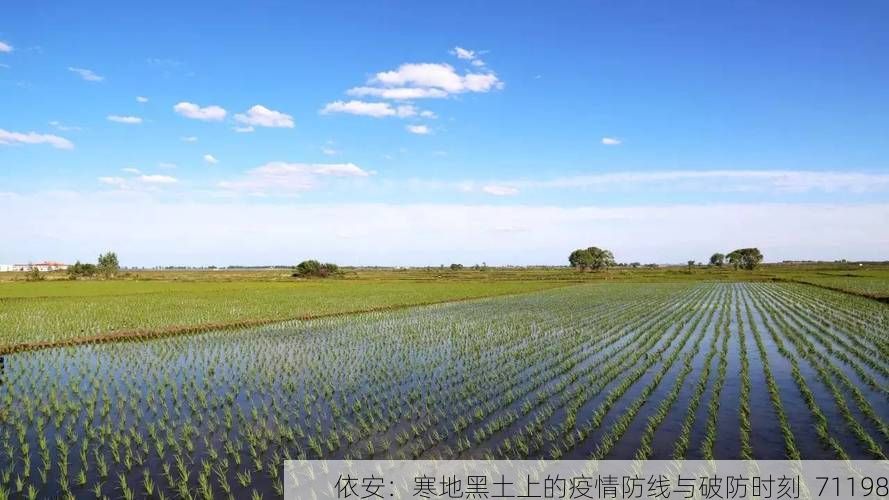 依安:寒地黑土上的疫情防线与破防时刻_71198