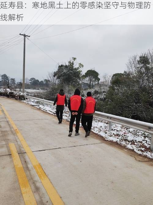 延寿县：寒地黑土上的零感染坚守与物理防线解析