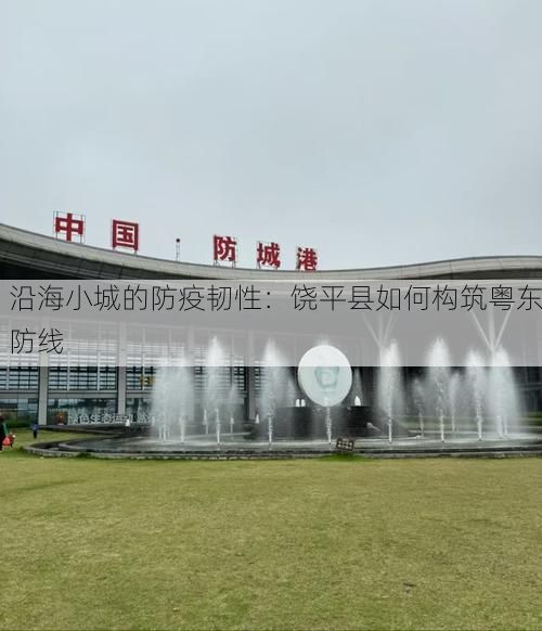 沿海小城的防疫韧性:饶平县如何构筑粤东防线